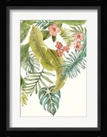Soft Tropics II Framed Print
