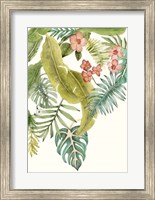 Soft Tropics II Fine Art Print