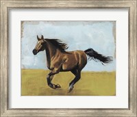 Equestrian Studies II Fine Art Print