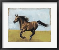 Equestrian Studies II Fine Art Print
