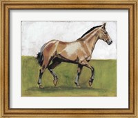 Equestrian Studies III Fine Art Print