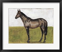 Equestrian Studies IV Fine Art Print