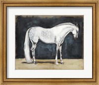Equestrian Studies V Fine Art Print