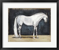 Equestrian Studies V Fine Art Print