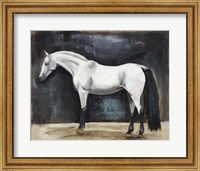 Equestrian Studies VI Fine Art Print