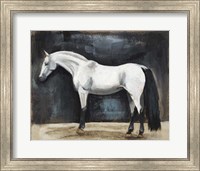 Equestrian Studies VI Fine Art Print