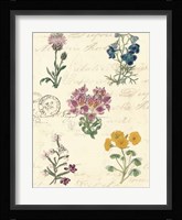 Botanical Journal I Fine Art Print