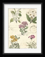 Botanical Journal II Fine Art Print