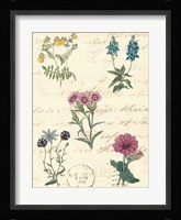 Botanical Journal III Fine Art Print