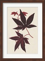 Japanese Maple Leaves I Fine Art Print