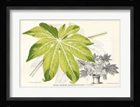 Fern Leaf Foliage I Framed Print