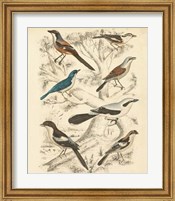 Avian Habitat V Fine Art Print