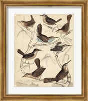 Avian Habitat VI Fine Art Print
