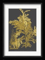 Trees & Leaves I Fine Art Print