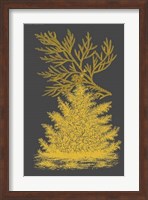 Trees & Leaves II Fine Art Print