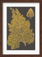 Trees & Leaves III Fine Art Print