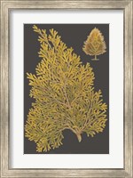 Trees & Leaves III Fine Art Print