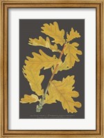 Trees & Leaves IV Fine Art Print