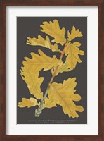 Trees & Leaves IV Fine Art Print