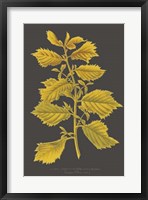 Trees & Leaves V Fine Art Print