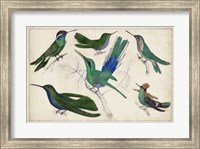 Hummingbird Gathering II Fine Art Print