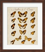 Papillons de L'Europe I Fine Art Print