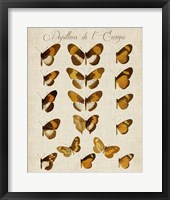 Papillons de L'Europe I Fine Art Print