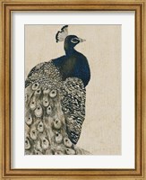 Textured Peacock I Fine Art Print