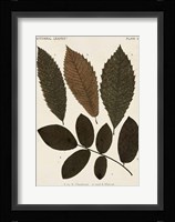 Autumnal Leaves I Fine Art Print