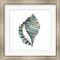 Aquarelle Shells I Fine Art Print