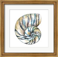Aquarelle Shells II Fine Art Print
