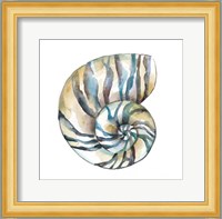 Aquarelle Shells II Fine Art Print