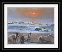 Dawn Passage Framed Print