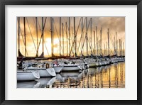 Backlit Marina Fine Art Print