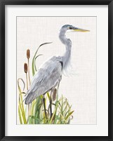 Waterbirds & Cattails I Fine Art Print