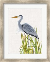 Waterbirds & Cattails II Fine Art Print