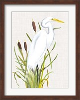 Waterbirds & Cattails III Fine Art Print