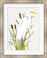 Waterbirds & Cattails III Fine Art Print