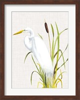 Waterbirds & Cattails IV Fine Art Print