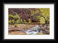 Zion Autumn I Fine Art Print