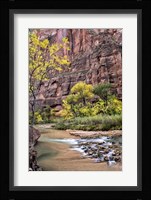 Zion Autumn II Fine Art Print