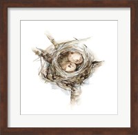 Bird Nest Study I Fine Art Print