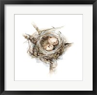 Bird Nest Study I Fine Art Print