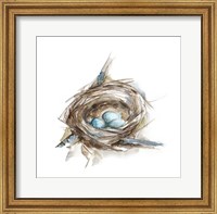 Bird Nest Study II Fine Art Print