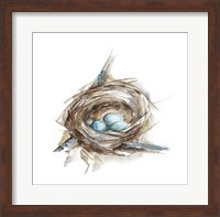 Bird Nest Study II Fine Art Print