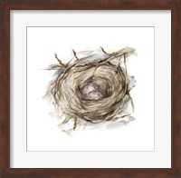 Bird Nest Study IV Fine Art Print