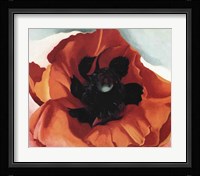Poppy Fine Art Print