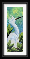 Snowy Egret Fine Art Print