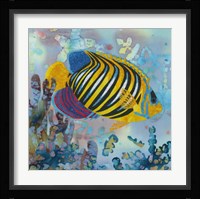 Regal Angel Fish Fine Art Print