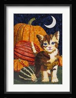 Calico Kitten & Pumpkins Fine Art Print